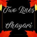 Two Lines Shayari in Hindi