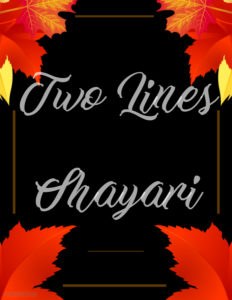 Two Lines Shayari in Hindi
