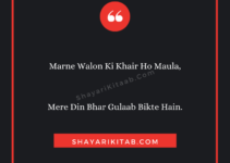 mohabbat shayari in hindi