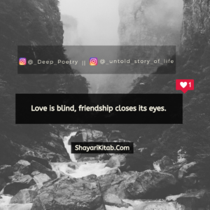 Love is blind, friendship closes its eyes.